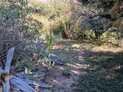 French property for sale in Montouliers, Hérault - €532,000 - photo 7