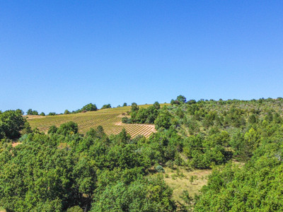 French property for sale in Saint-Julien-d'Asse, Alpes-de-Haute-Provence - €530,000 - photo 14