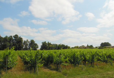 French property for sale in Saint-Ciers-de-Canesse, Gironde - €646,600 - photo 11