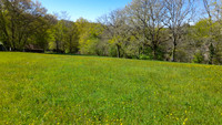 Terrain à Le Bugue, Dordogne - photo 7
