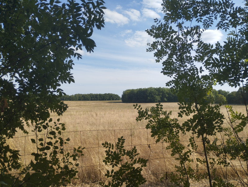 French property for sale in Condéon, Charente - €530,000 - photo 9