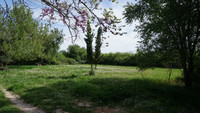 Maison à vendre à Sauveterre-de-Guyenne, Gironde - 398.000 € - photo 5
