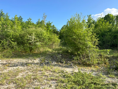 French property for sale in Bertric-Burée, Dordogne - €16,600 - photo 7