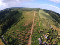 Terrain à vendre à Langonnet, Morbihan - 848.000 € - photo 4