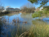 Commerce à vendre à Le Ham, Manche - 499.950 € - photo 5