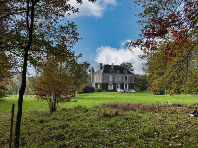 Your Dream French Château, surrounded by almost 6 Hectares of Park and woodland 