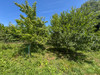 French property for sale in Breuil-Barret, Vendée - €41,600 - thumbnail 14