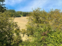 Propriété à vendre à Douchapt, Dordogne - 194 400 € - photo n°12