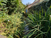 French property for sale in Breuil-Barret, Vendée - €147,150 - thumbnail 9