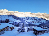 French ski chalets, properties in VALMOREL, Valmorel, Le Grand Domain