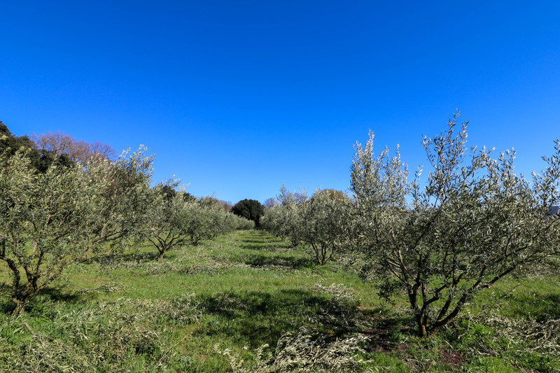 Terrain à vendre à Uzès, Gard - 130.000 € - photo 1