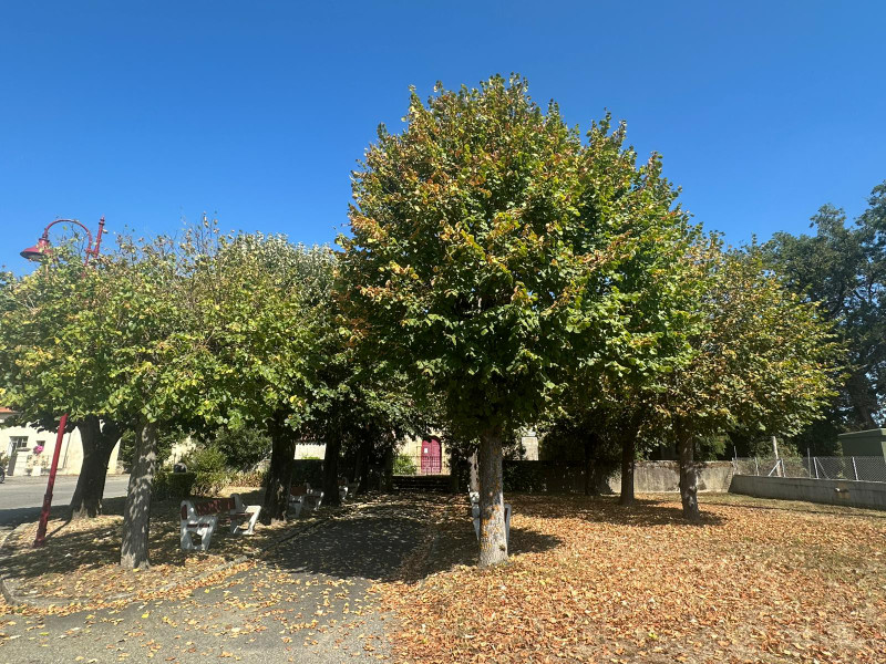 French property for sale in Hères, Hautes-Pyrénées - €35,000 - photo 10