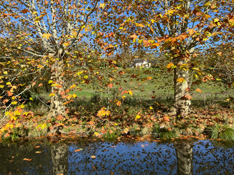 French property for sale in Melle, Deux-Sèvres - €239,252 - photo 0