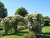French property for sale in Duras, Lot-et-Garonne - €550,000 - thumbnail 9