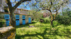 French property for sale in La Tour-Blanche-Cercles, Dordogne - €159,000 - thumbnail 13