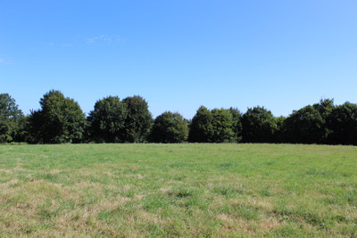 French property for sale in Chaulieu, Manche - €329,500 - photo 2