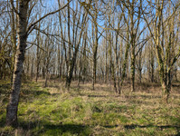 Maison à vendre à Courcival, Sarthe - 424.000 € - photo 9