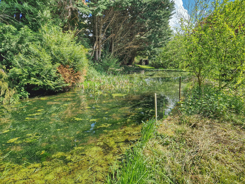 French property for sale in Fransèches, Creuse - €339,200 - photo 3