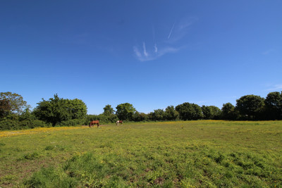 French property for sale in Valdelaume, Deux-Sèvres - €200,000 - photo 9