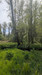 French property for sale in Berrien, Finistère - €119,900 - thumbnail 14
