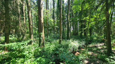 French property for sale in Ceaucé, Orne - €250,000 - photo 9