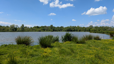 land for sale in Gironde