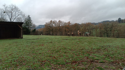 French property for sale in Bourganeuf, Creuse - €290,000 - photo 1