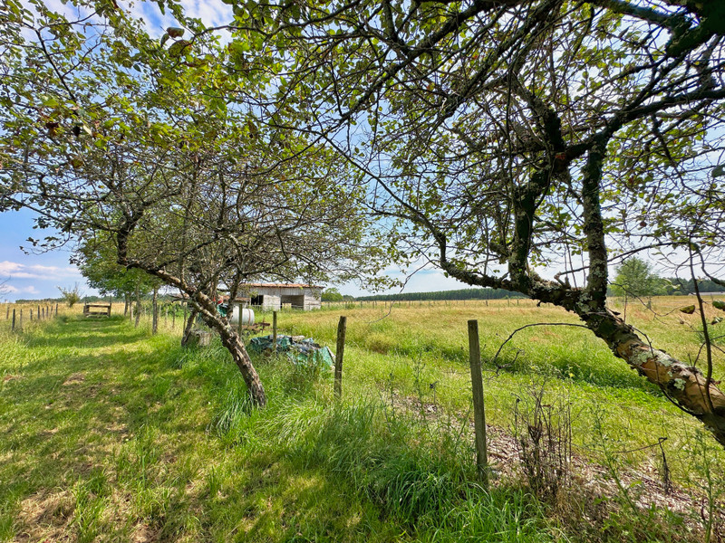 French property for sale in Parcoul-Chenaud, Dordogne - €252,500 - photo 6