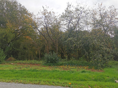 French property for sale in La Gacilly, Morbihan - €40,000 - photo 12