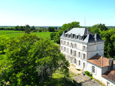 Chateau à vendre à Segonzac, Charente, Poitou-Charentes, avec Leggett Immobilier