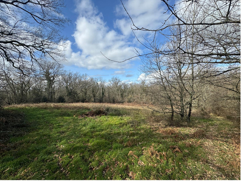 French property for sale in Maulichères, Gers - €50,000 - photo 6