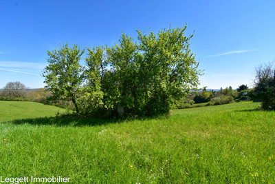 French property for sale in Thenon, Dordogne - €66,600 - photo 5