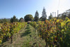 French property for sale in Saint-Romain-en-Viennois, Vaucluse - €315,000 - thumbnail 9
