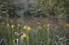 French property for sale in Virazeil, Lot-et-Garonne - €351,200 - thumbnail 11
