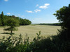 French property for sale in Édon, Charente - €77,000 - thumbnail 13