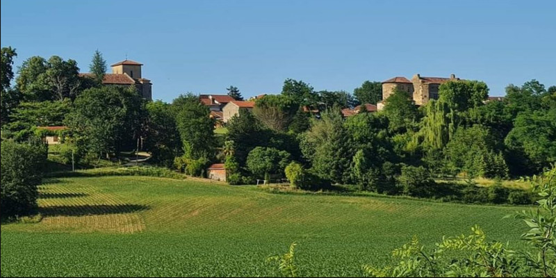 French property for sale in Panjas, Gers - €23,000 - photo 6