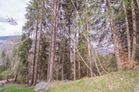 Terrain à vendre à Courchevel, Savoie - 21.600 € - photo 9
