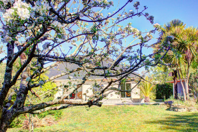 Ski property for sale in Eaux-Bonnes - €635,000 - photo 14