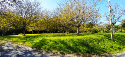 French property for sale in Chantérac, Dordogne - €246,100 - photo 2