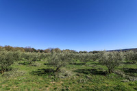 Terrain à vendre à Uzès, Gard - 130.000 € - photo 7