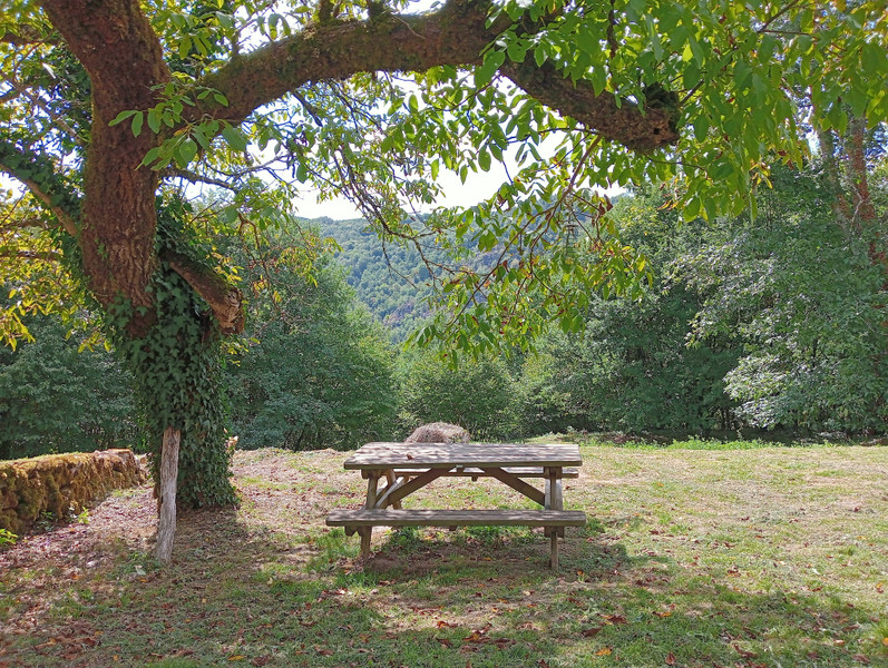 French property for sale in Saint-Privat, Corrèze - €431,500 - photo 14
