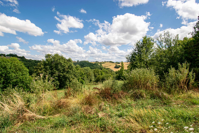French property for sale in Polastron, Haute-Garonne - €132,000 - photo 7