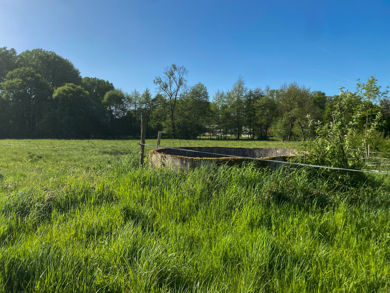 French property for sale in Saint-Claud, Charente - €318,000 - photo 4