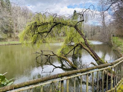 Lacs à vendre à Pressignac, Charente, Poitou-Charentes, avec Leggett Immobilier