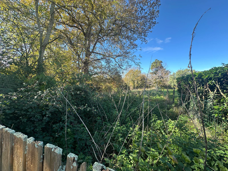 French property for sale in Panjas, Gers - €23,000 - photo 3