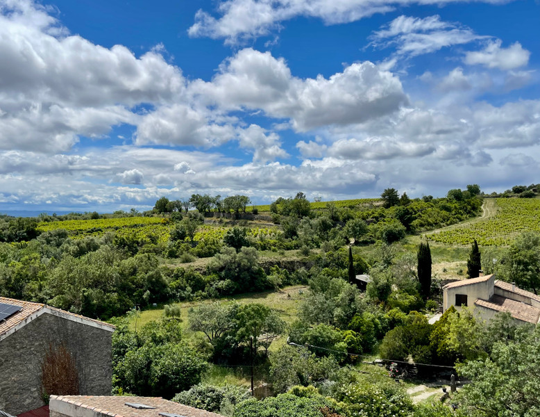 French property for sale in La Livinière, Hérault - €235,000 - photo 14