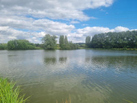 Lacs à Connerré, Sarthe - photo 10