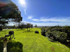 French property for sale in Bayon-sur-Gironde, Gironde - €555,000 - thumbnail 9