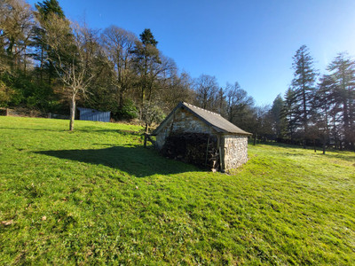 French property for sale in Mortain-Bocage, Manche - €235,400 - photo 4