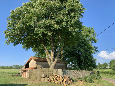 French property for sale in Chabrac, Charente - €42,500 - photo 2